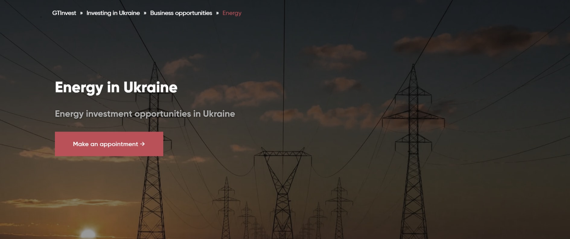 Renewable energy investment opportunities | Investment opportunities in Ukraine's energy sector are promising. For investors, find out more about Ukraine's renewable energy sources